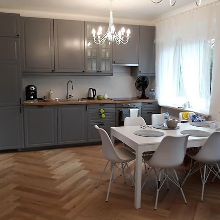 2 Bedroom City Center Apartment Katowice Eksteriør billede